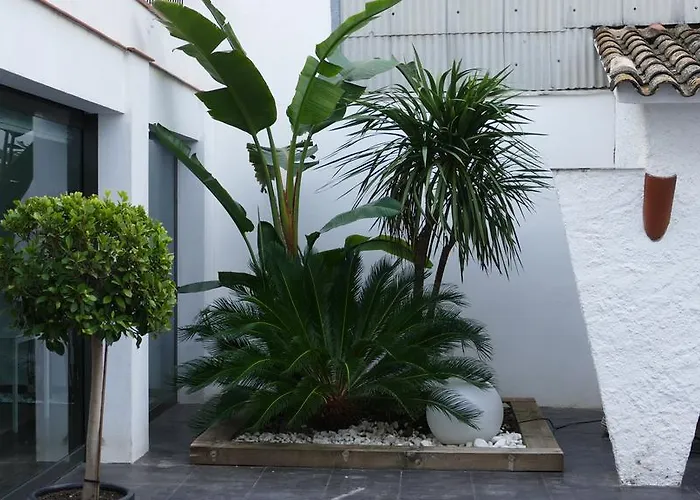 Hotel Salomé Calafell